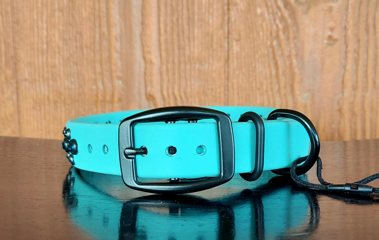 Aspire Single Layer Buckle Collar - DUSTY TURQUOISE