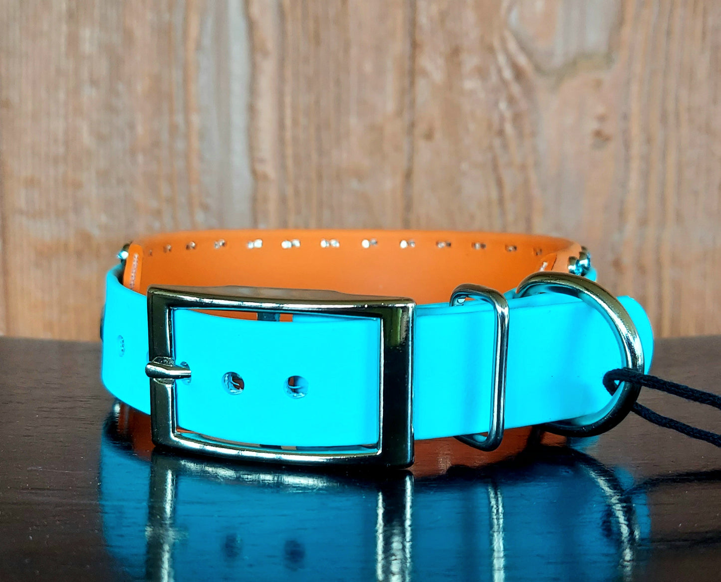 Taco Tuesday Buckle Collar