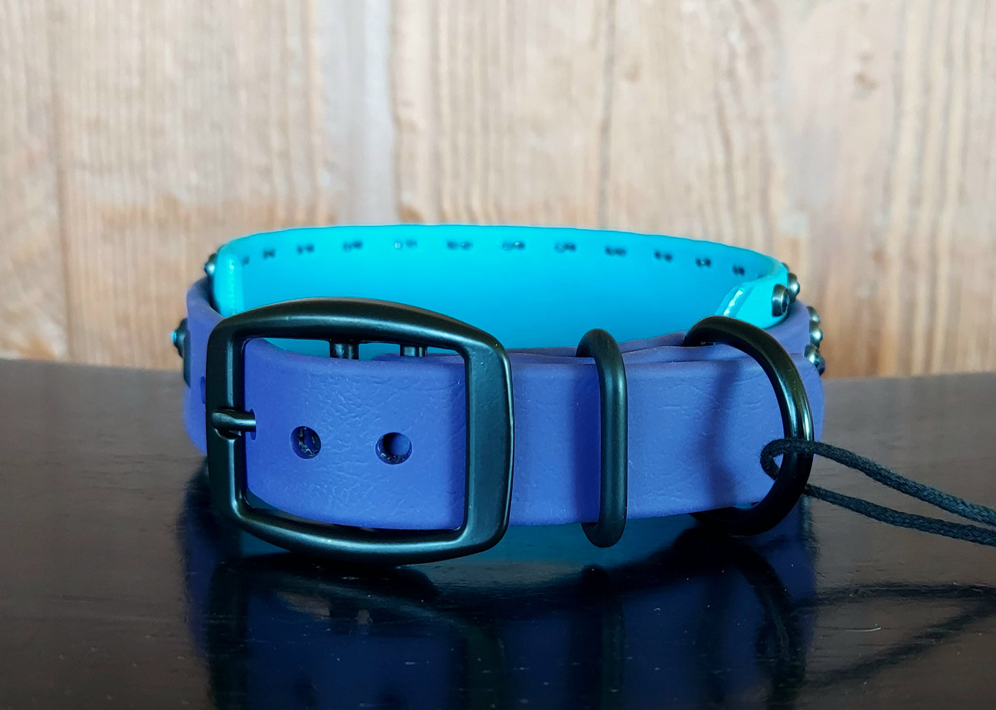 Regal Bling Buckle Collar