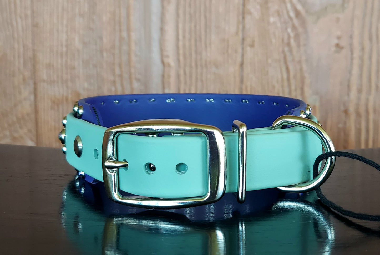 Aspire Double Layer Buckle Collar - SAGE/PURPLE