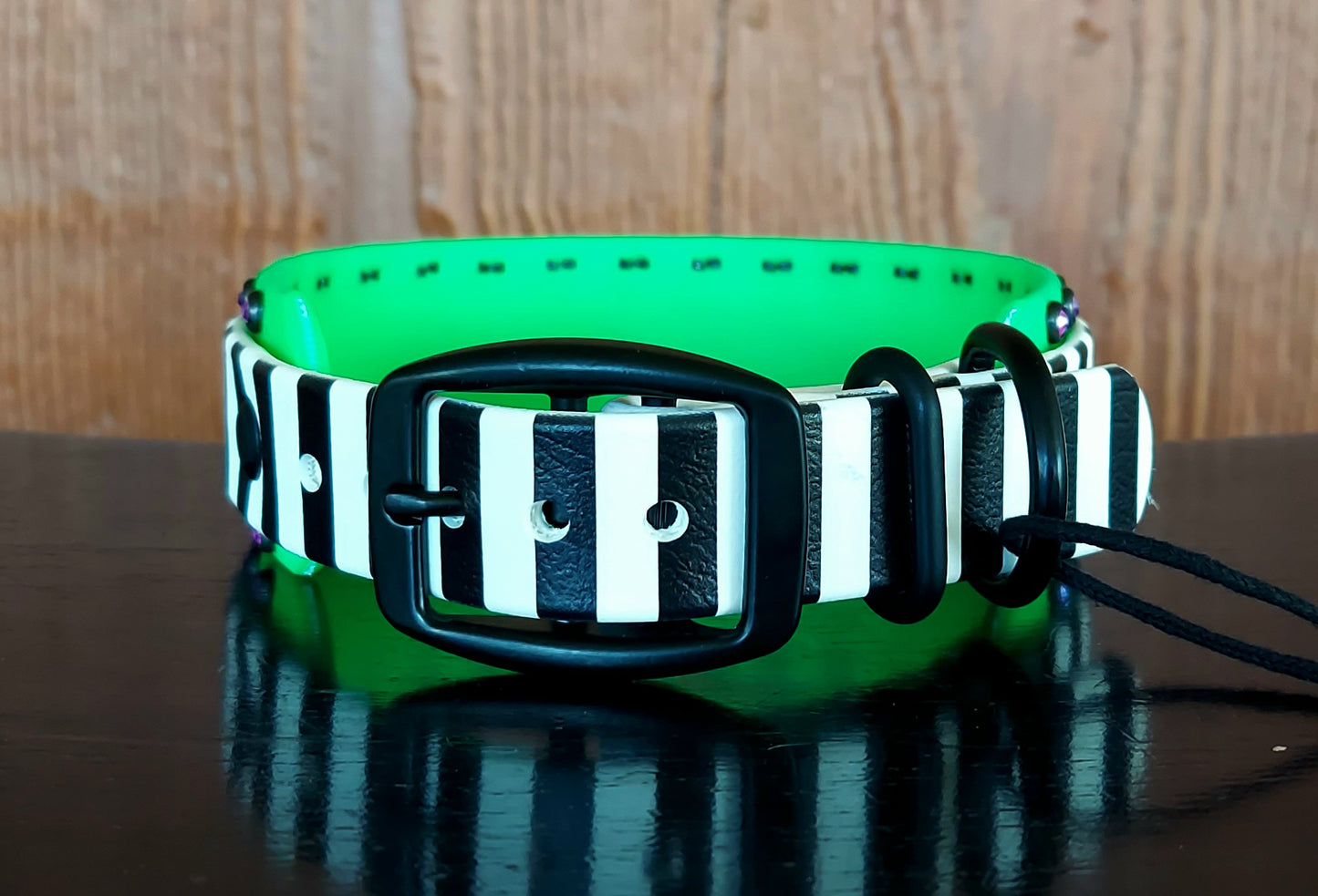 Beetlejuice Buckle Collar