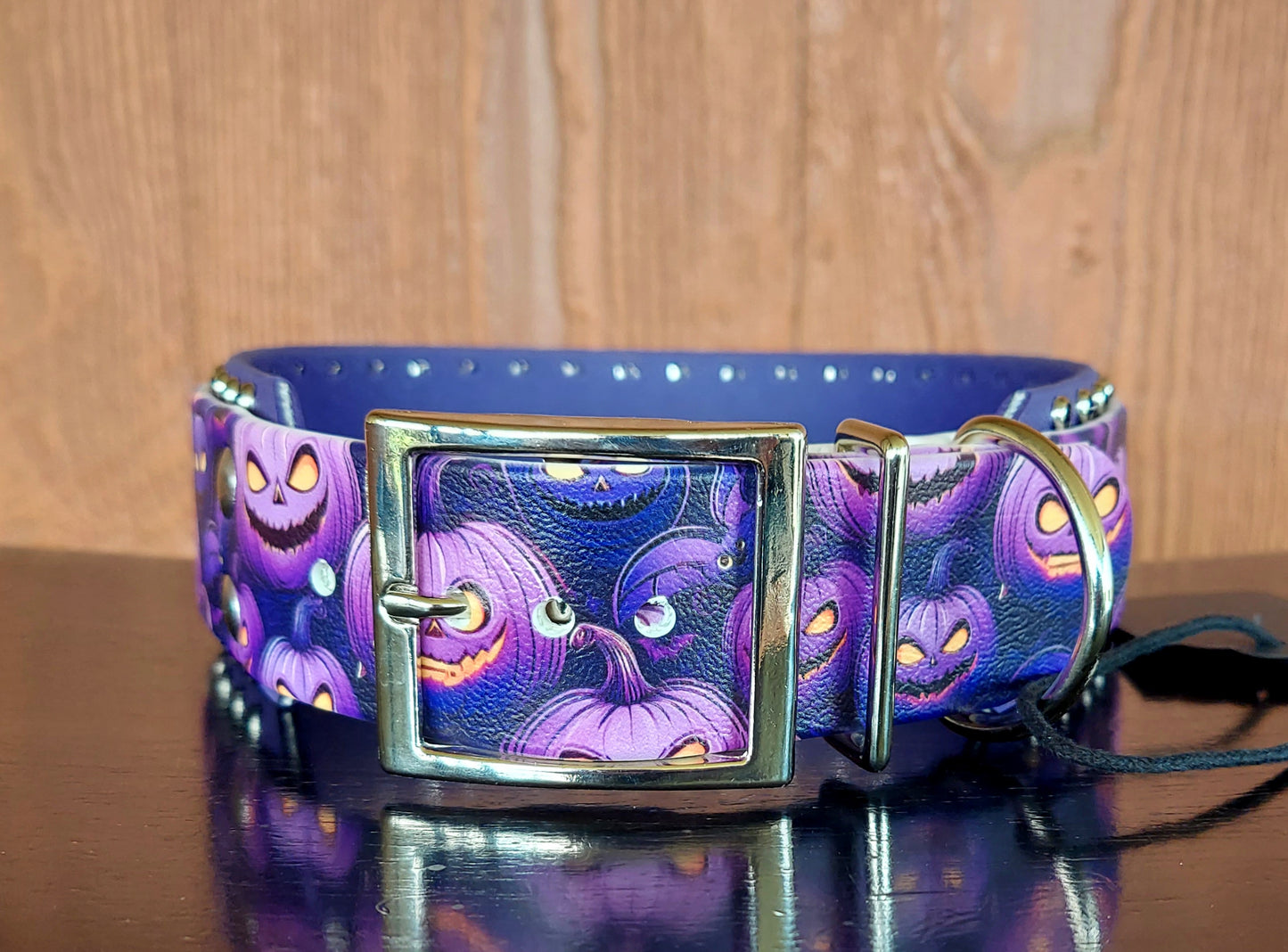 Angry Jacks Buckle Collar - 2INCH
