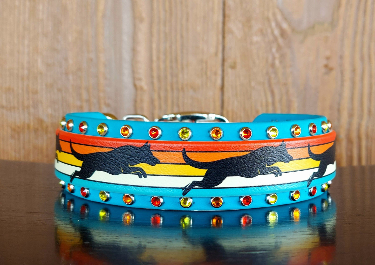 Dock Diver UV Printed Buckle Collar