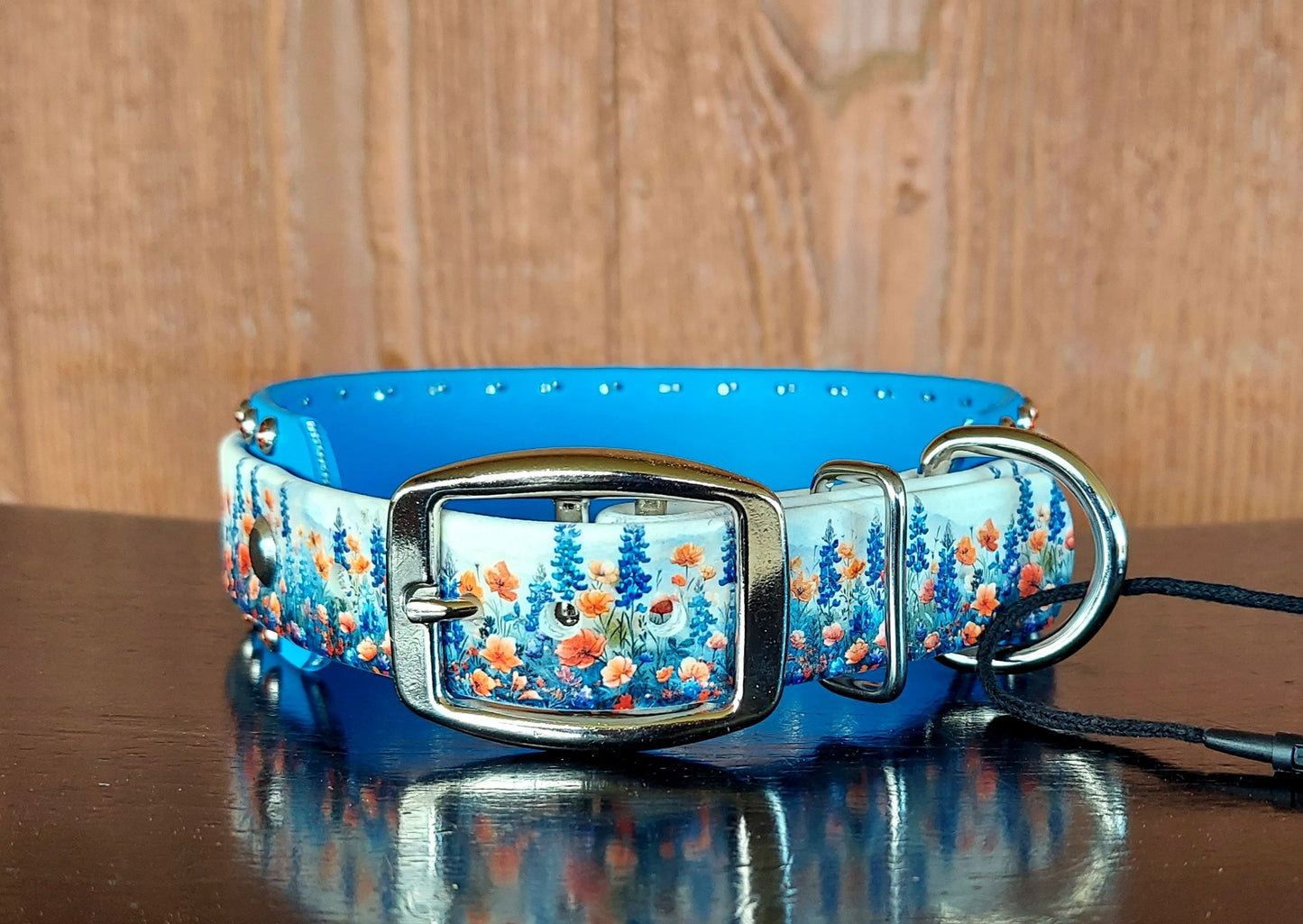 Blue Bonnets Buckle Collar