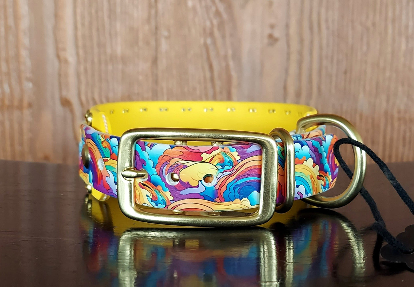 Abstract Rainbow Buckle Collar