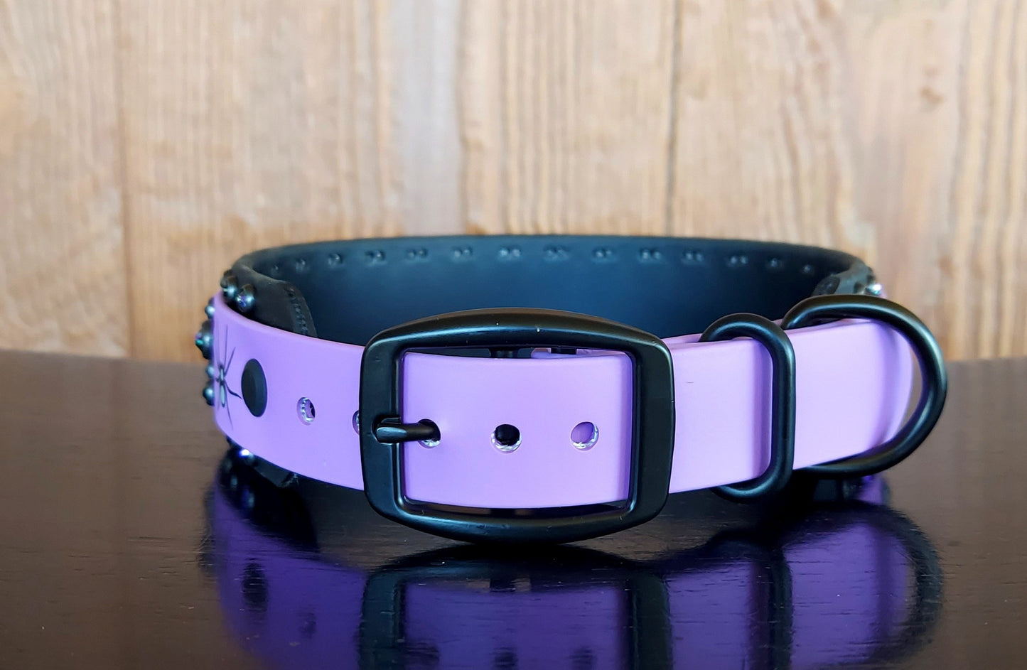Sparkle and Spiders HTV Buckle Collar