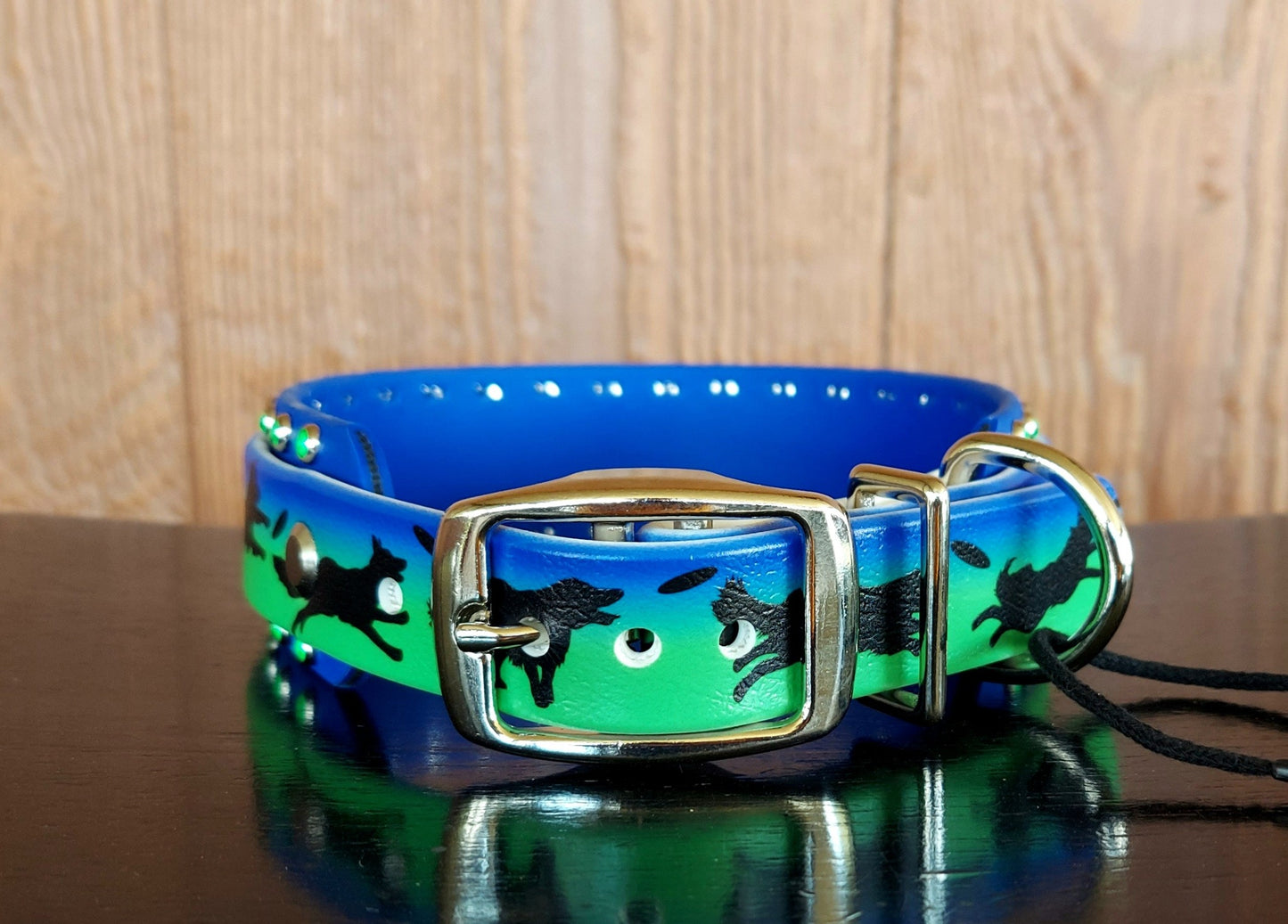 Disc Dogs BLUE Buckle collar