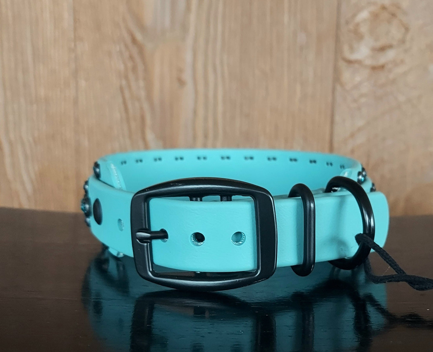 Aspire DUSTY TURQUOISE Buckle Collar