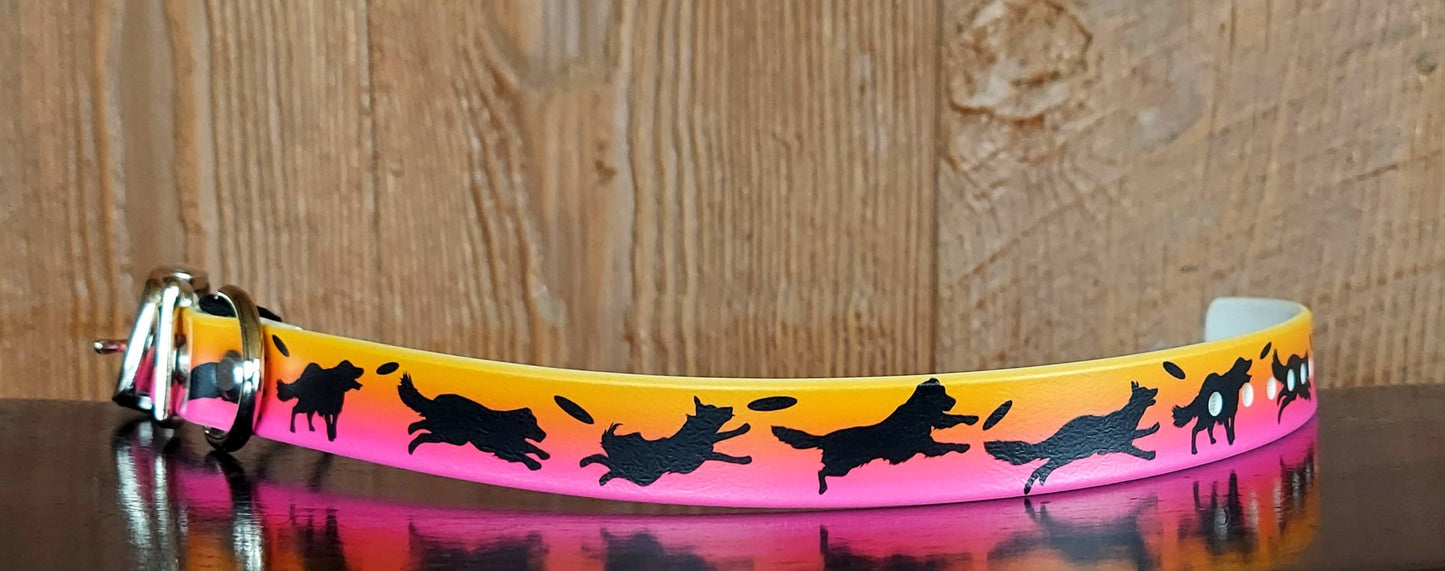 Disc Dogs PINK SINGLE layer Buckle Collar