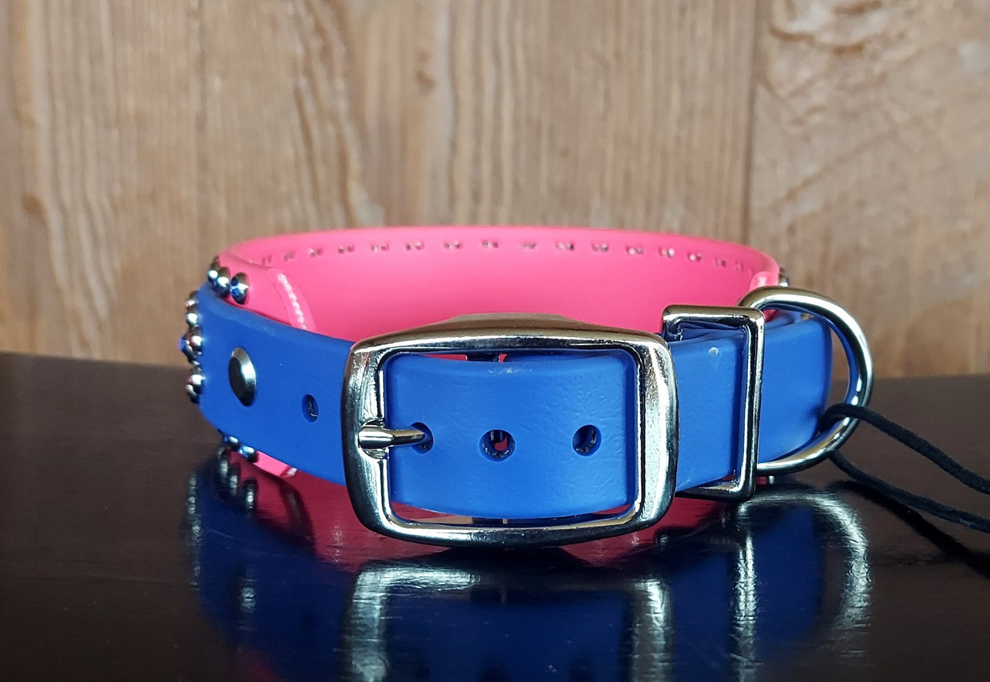 Regal ROYAL Buckle Collar