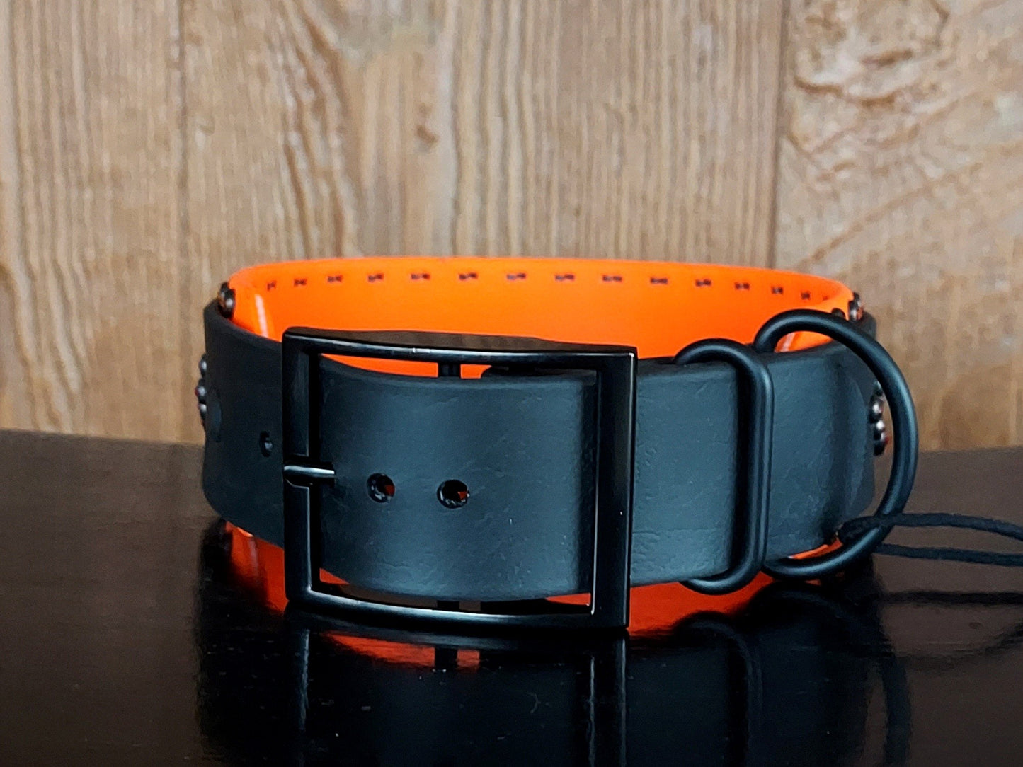 The Phoenix 2" Buckle Collar