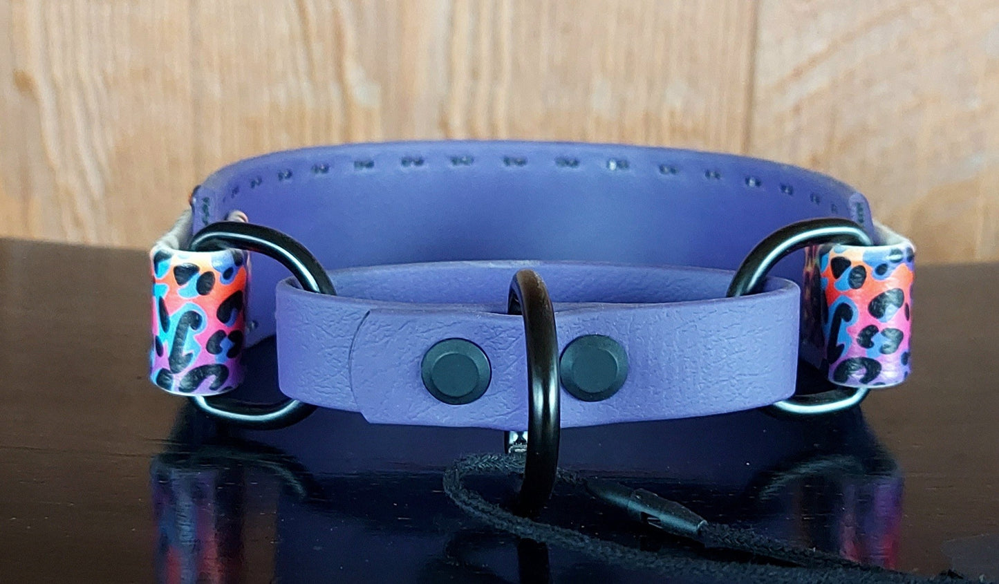 Neon Leopard Martingale Collar