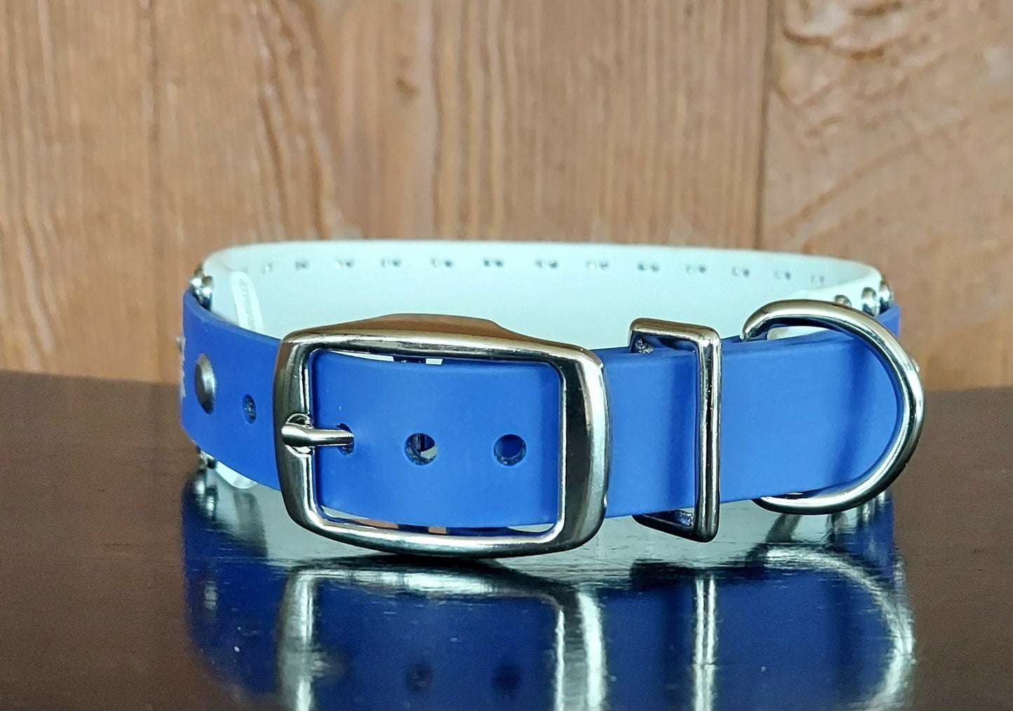 Snow Bling Buckle Collar