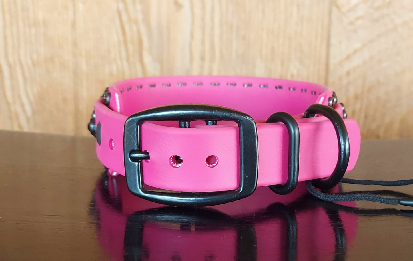 Regal MAGENTA Buckle Collar