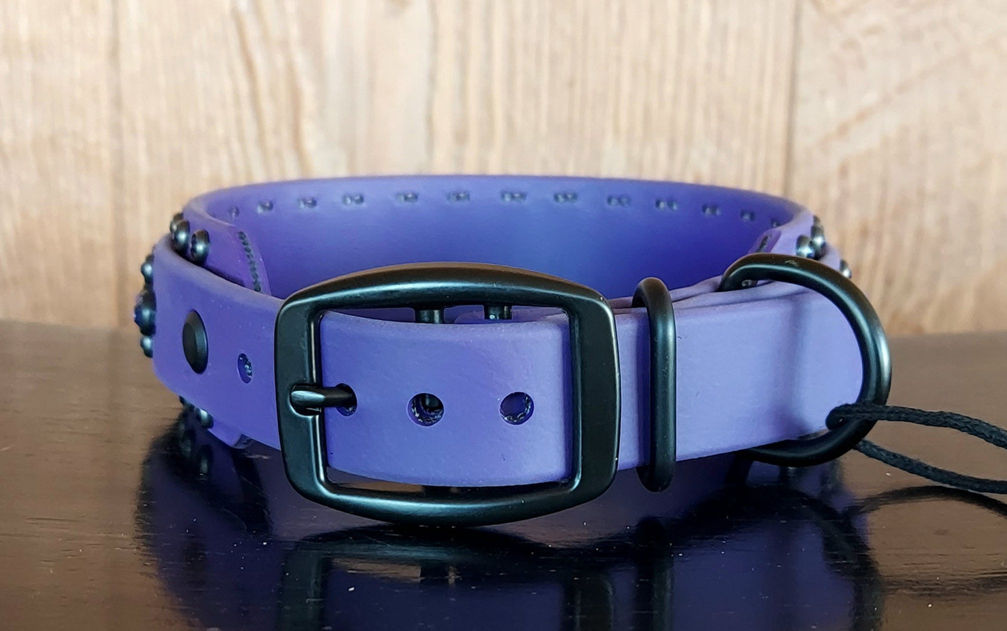 Aspire PURPLE SET: Buckle collar PLUS 5ft long leash!