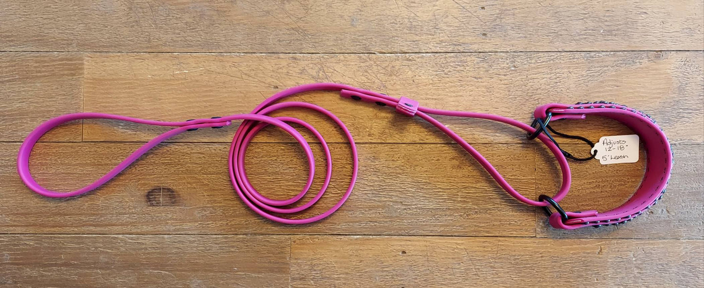 Regal MAGENTA French Martingale