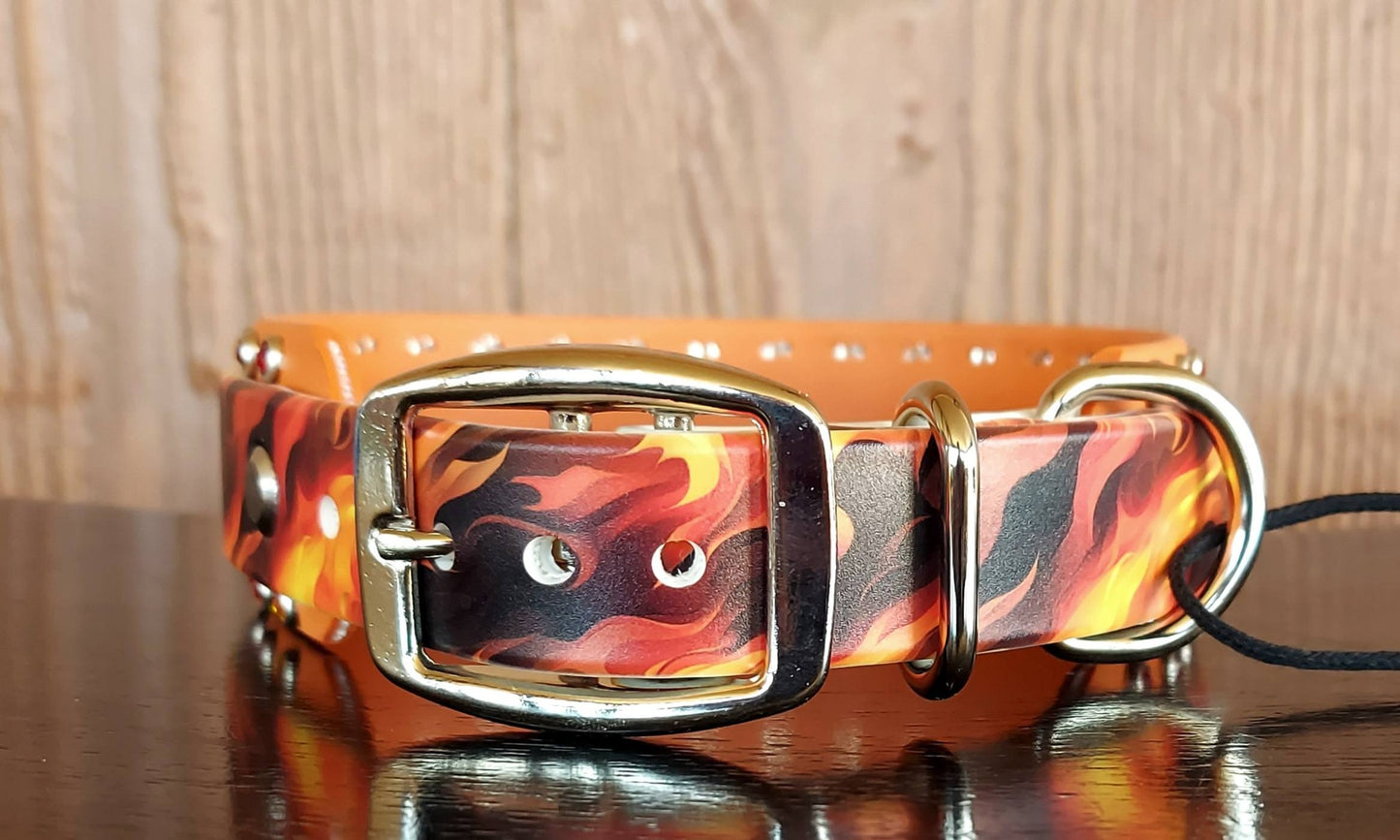 Inferno Buckle Collar