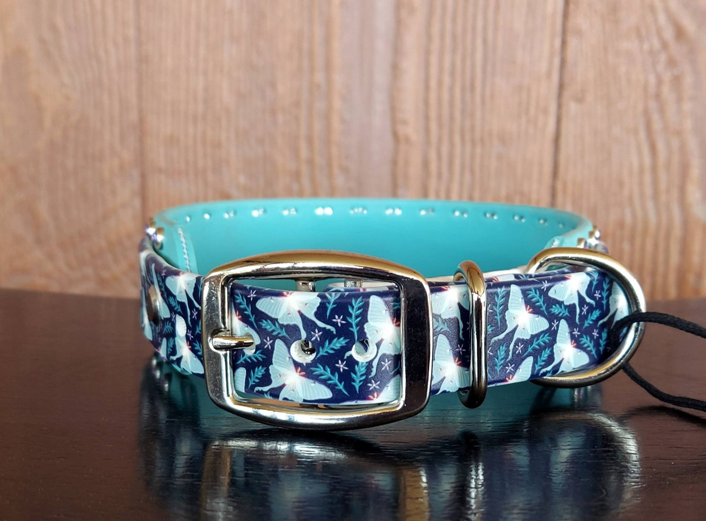 Luna Moth Buckle Collar