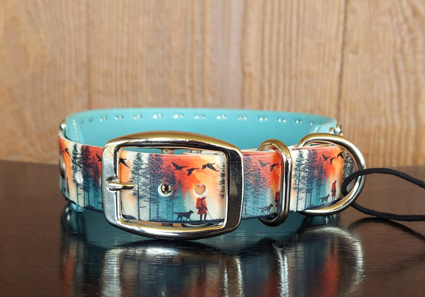 The Hike Buckle Collar