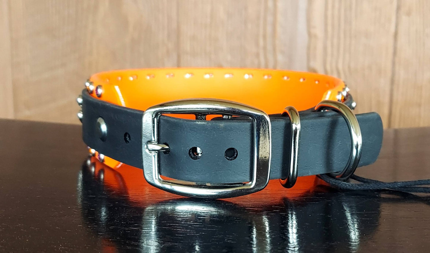 The Phoenix Buckle Collar, Regular width
