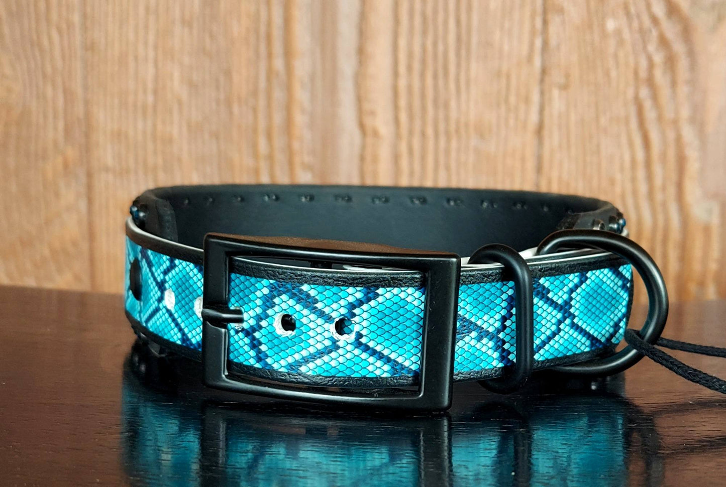Teal Snakeskin Buckle Collar