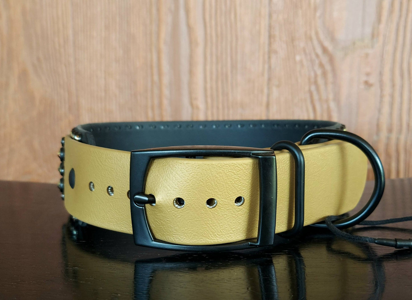 Zenith Buckle Collar - GOLD/BLACK