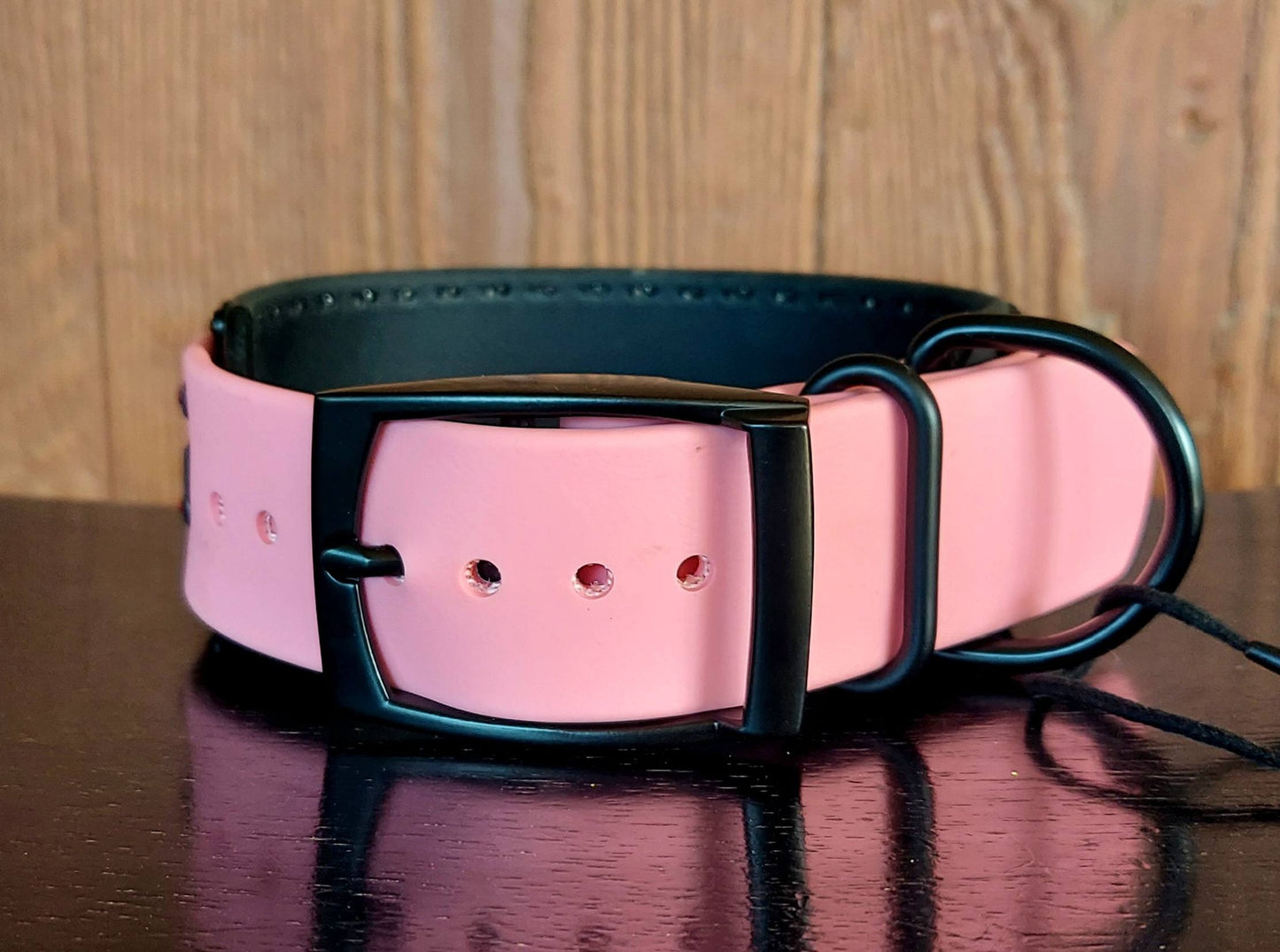 Zenith Buckle Collar - PINK/BLACK