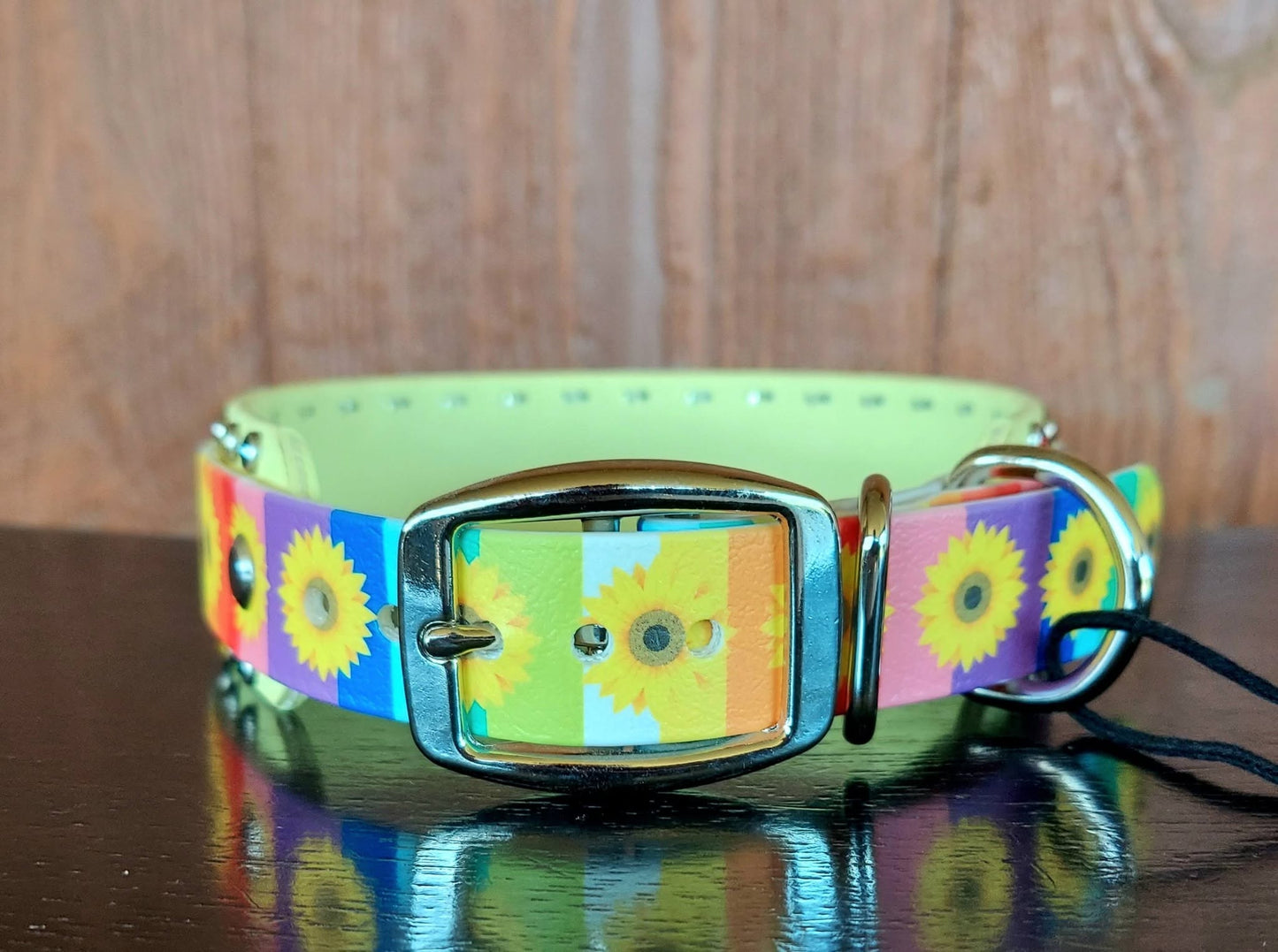 Sunflower Pride Buckle Collar