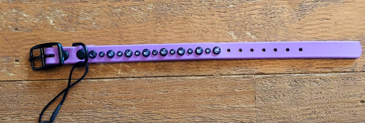 Puppy Bling Collar - Amethyst