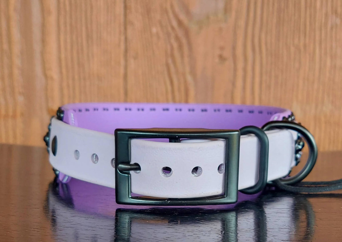 Regal 2 PURPLE - SET (Collar and matching leash)