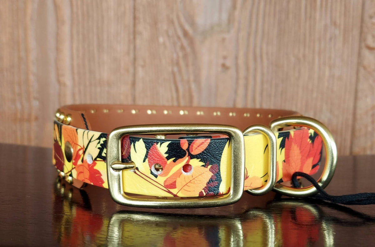 Autumn Leaves Buckle Collar