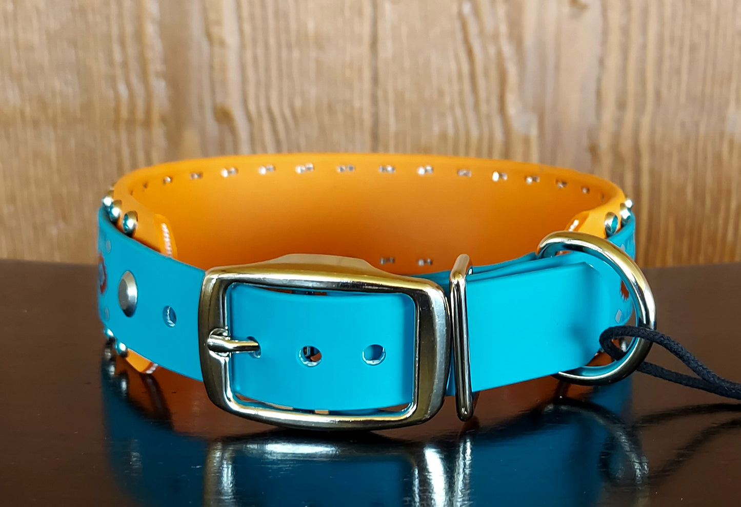 Southwest by Southwest Buckle Collar