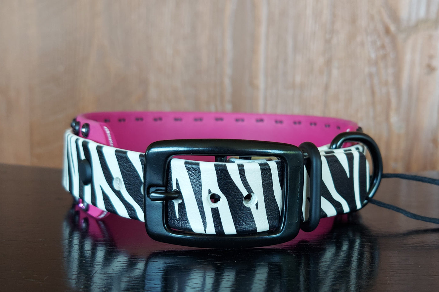 Zebra UV Printed buckle collar