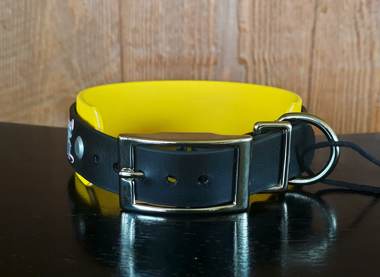 Barnhunt Buckle Collar