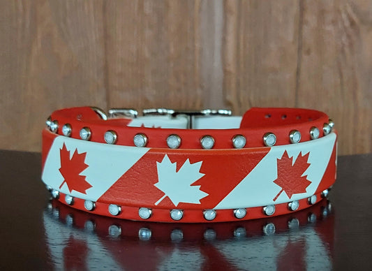 Oh Canada! Buckle Collar