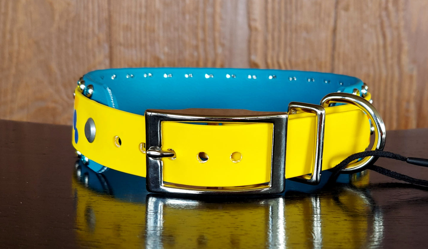 Mod Circles Buckle Collar