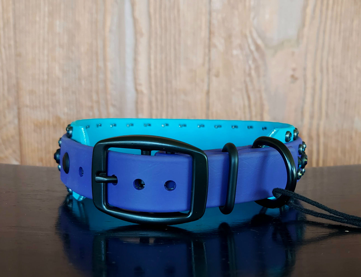 Aspire Double Layer Buckle Collar - PURPLE/AQUA