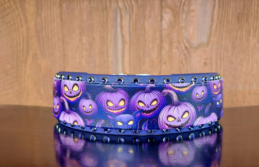 Angry Jacks Buckle Collar - 2INCH