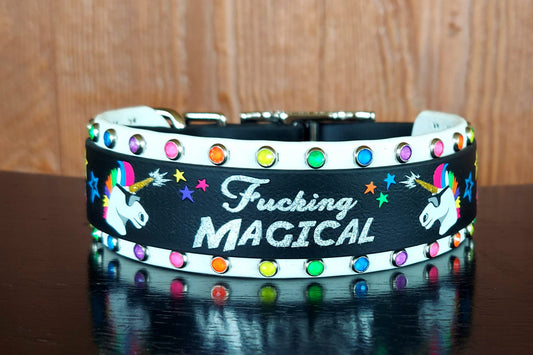 F-ing Magical Buckle Collar