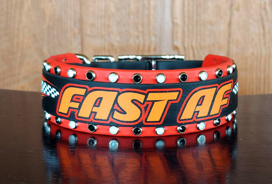 Fast AF Buckle Collar