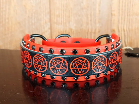 Demon Trap UV Printed MARTINGALE COLLAR