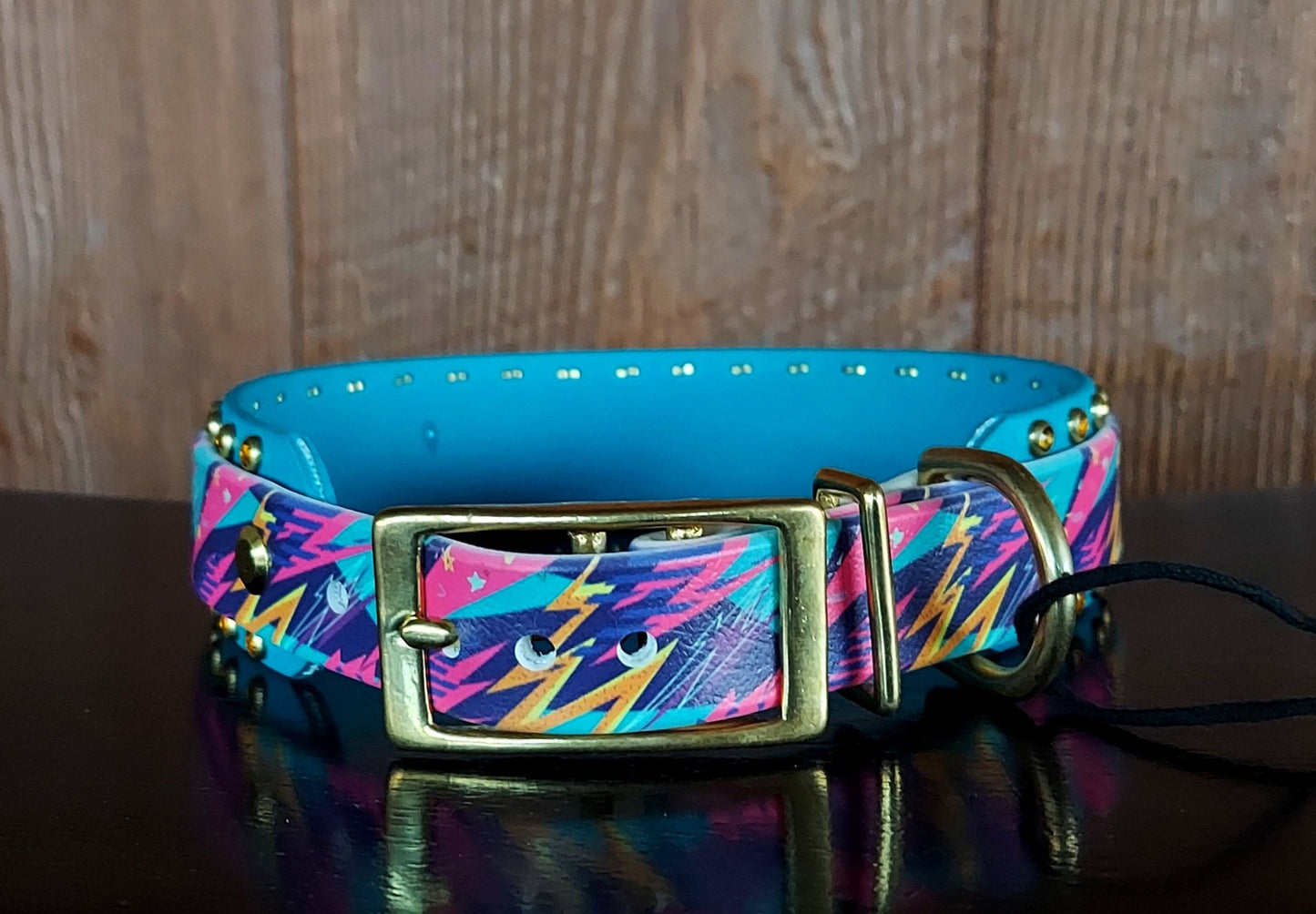 Trapper Keeper Buckle Collar