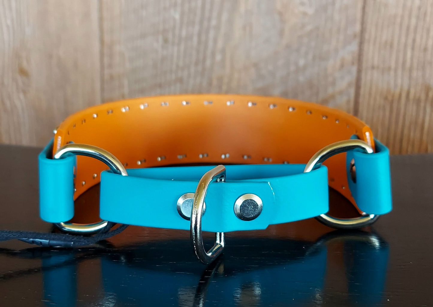 Southwest by Southwest Martingale style Collar