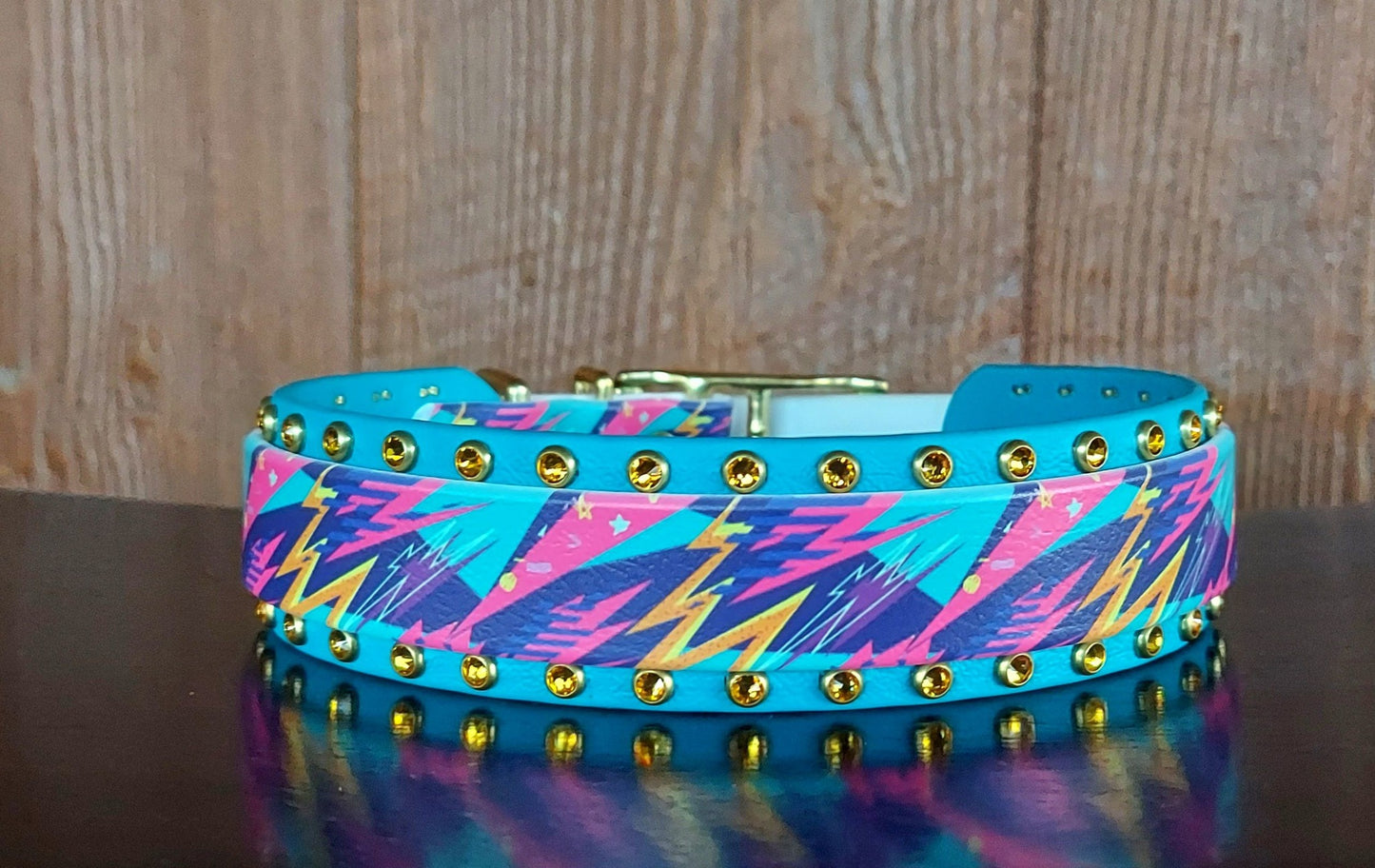 Trapper Keeper Buckle Collar