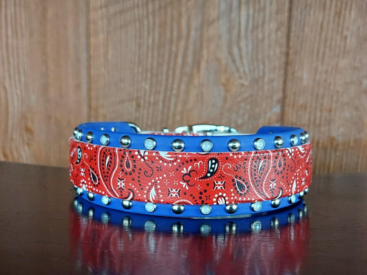 Bandana Buckle Collar