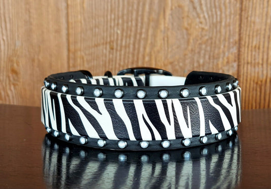 Zebra UV Buckle Collar