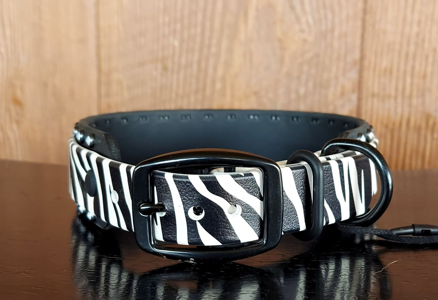 Zebra UV Buckle Collar