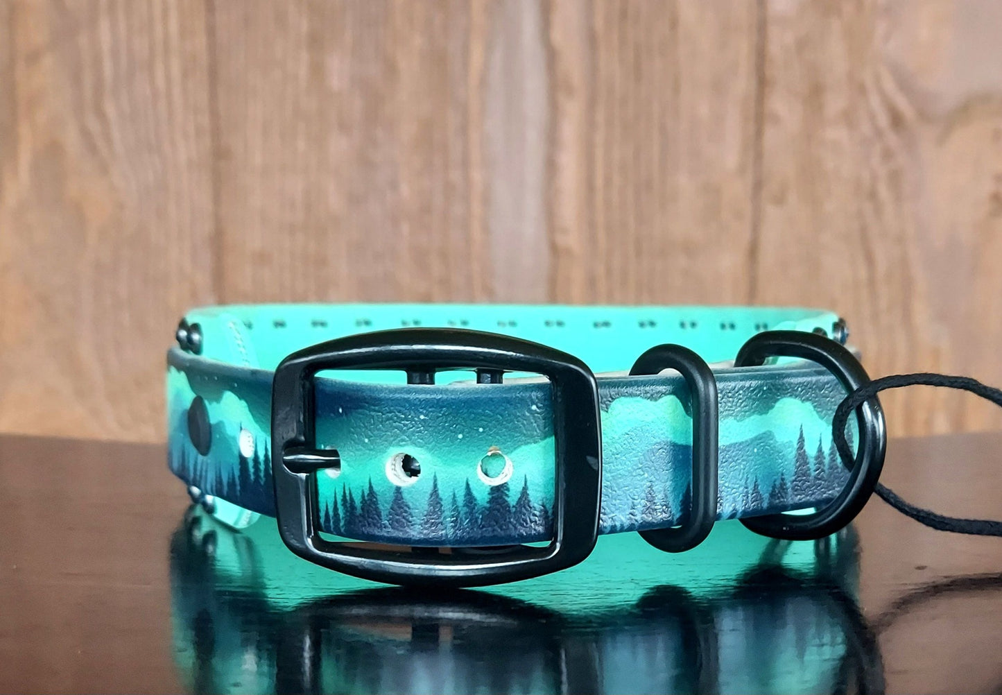 Northern Lights UV Printed Buckle Collar