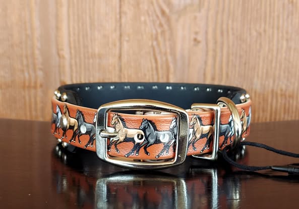 Wild Horses Buckle Collar