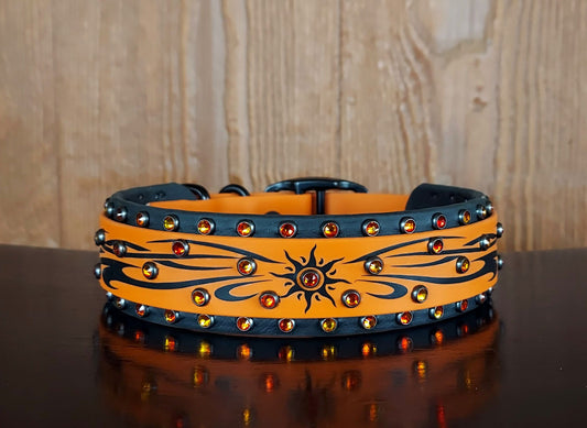 Sunburst Buckle Collar